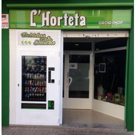 L'horteta en Burriana